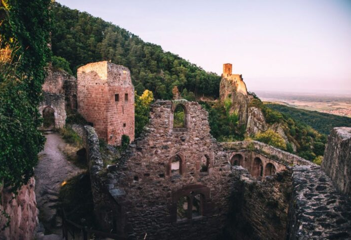 Les frères Ribeaupierre et Ribeauvillé